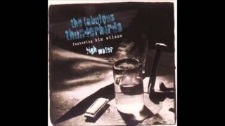 Fabulous Thunderbirds - Hurt On Me