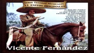 Vicente Fernandez - 11 Exitos Originales