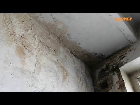 Черная плесень на стенах и вода с потолка: пенсионерка из Сусумана жалуется на проблемы ЖКХ