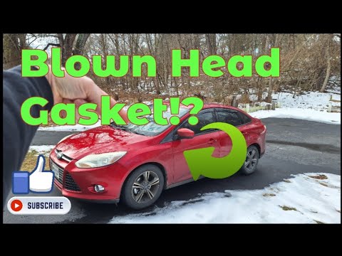 Ford Focus 2.0L HEAD GASKET Failure!? Never Thought I'd See This!