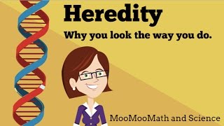 Heredity- Why you look the way you do.
