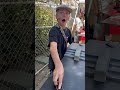 LAND THIS TRICK GET SPONSORED Fingerboard Lcboards Lcfingerboards Skate Skateboarding Diy