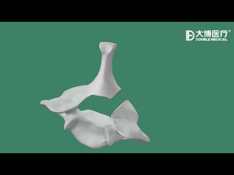 Double Medical Headless Compression Screw I