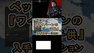 【Crimson Desert 紅の砂漠】ペット 『ワイバーンの子供』 の入手方法について紹介 #紅の砂漠 #CrimsonDesert #紅の砂漠攻略 #アクションRPG