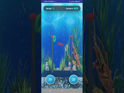 Aqua Ring Toss 3D