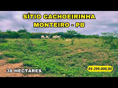 🌾 SÍTIO CACHOEIRINHA – 28 HECTARES FORMADOS EM CAPIM BUFFEL E PRONTO PARA PRODUZIR 🌾