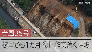 台風25号被害から1カ月　復旧が続く印旛沼、内房線の現場