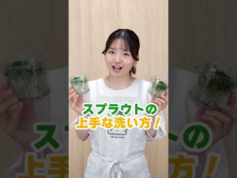 海からの干ばつ