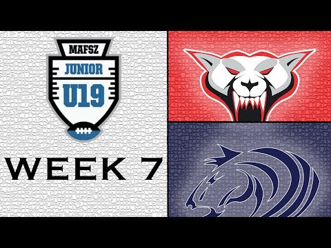 Wolves vs. Mustangs 7. Forduló Highlights | U19 2019