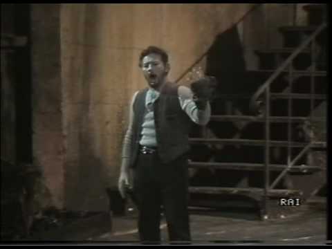 GIUSEPPE GIACOMINI "Hai Ben Ragione" IL TABBARO Florence, 1983