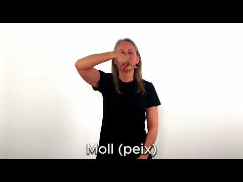 Moll (peix) - LSC
