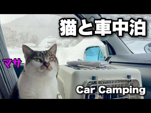 Autocampingurlaub mit Katze | Überall Schnee