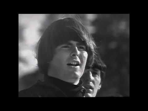 NEW * It Ain't Me Babe - The Turtles {Stereo} 1965