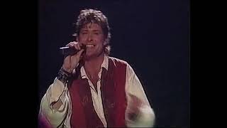 David Hasselhoff      Stand By Me   live 1990