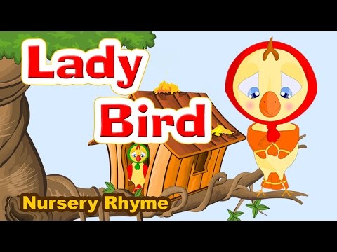 Video Lesson