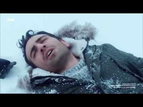 Frozen Dreams ❄ - In Love Again