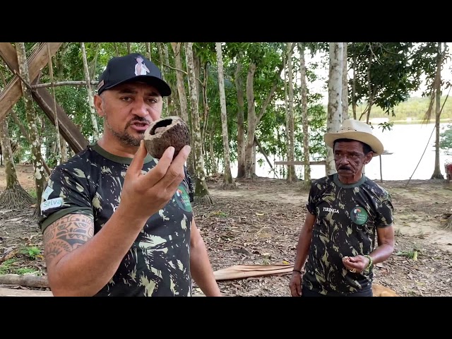 Pará videó kiejtése Portugál-ben