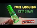 FUNGSI RAHASIA MINYAK KAYU PUTIH ISTRI AKAN PUAS DENGAN KEGUNAANNYA