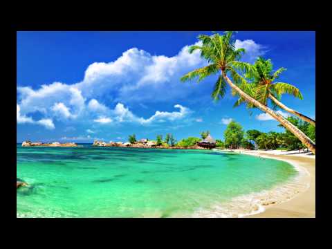 Shake Dat Ting - Digso Ft Mr Shammi