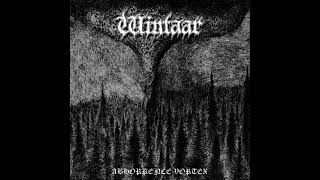 Wintaar - Abhorrence Vortex (2021) [EP]