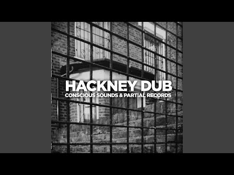 Stoke Newington Skank