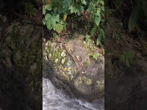 Cascada ubicada en cantón pacayas, Distrito  de la laguna, Chalatenango.