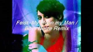 Feist - My Moon My Man / Boys Noize Remix
