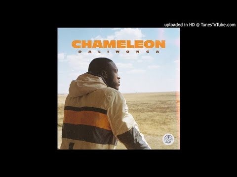 Daliwonga - Vur Vai