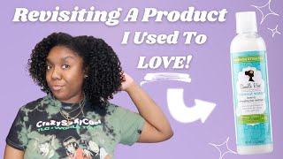 Revisiting Products ⏪ | Camille Rose Coconut Water Leave In 🥥