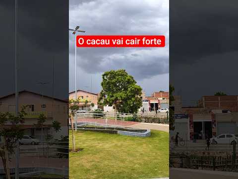 O Cacau é vem forte ali do norte Lapão Bahia 04/12/2025