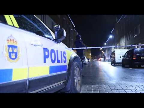 Misstänkt för mordet i Landskrona släpps fri