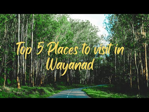 Top Five Places to Visit In Wayanad || Tourist Places in Wayanad #wayanad #explorewayanad
