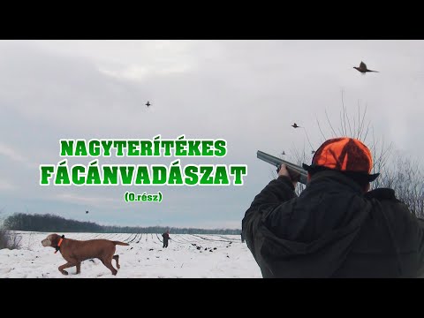 Vadkaland (0.rész) - NAGYTERÍTÉKES FÁCÁNVADÁSZAT