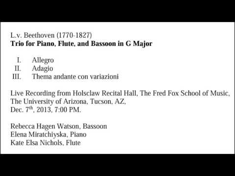 Beethoven Trio Video