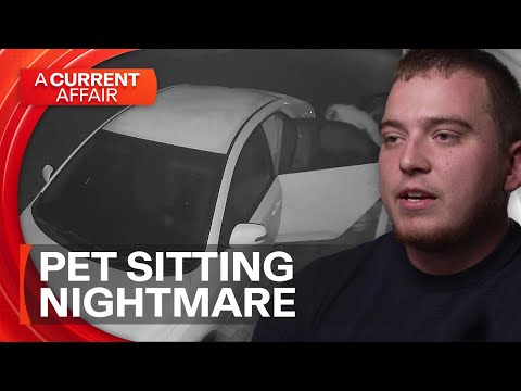 Man claims pet sitter stole his belongings | A Current Affair