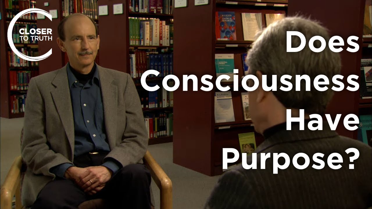 Roger Walsh - Does Consciousness Have Purpose?