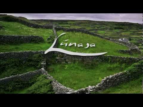 Lunasa - Harp and shamrock