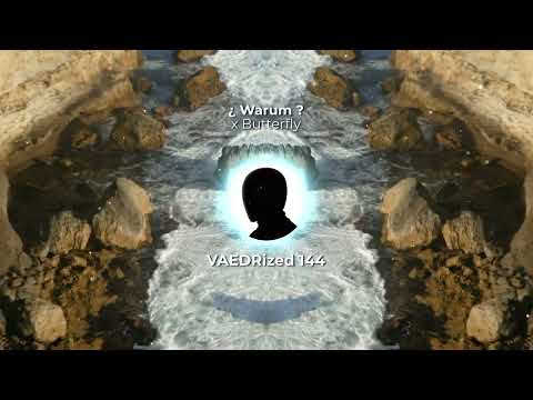 Warum x Butterfly [VIRAL TIKTOK Remix]