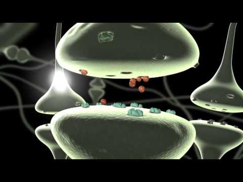 Wirkmechanismus einer medikamentösen Therapie