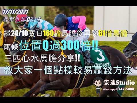 繼160倍馬膽後,再黎61倍馬膽兩條位置Q過300倍.17/11谷草C跑道九場三匹心水馬膽分享.教大家一個點樣較易贏錢方法.