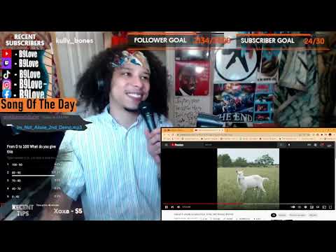 American REACTS To Hajnali 4 a király utcában (feat. Krúbi, AKC Kretta) (Remix)