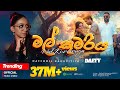 මල් කුමරිය Mal Kumariya Official Music Video Daffodil Kadupitiya DAFFY