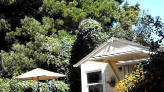 LAURA'S BERKELEY COTTAGE