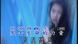 我只在乎你 Wo Zhi Zai Hu Ni (宝丽金 PolyGram Production - DVD版)