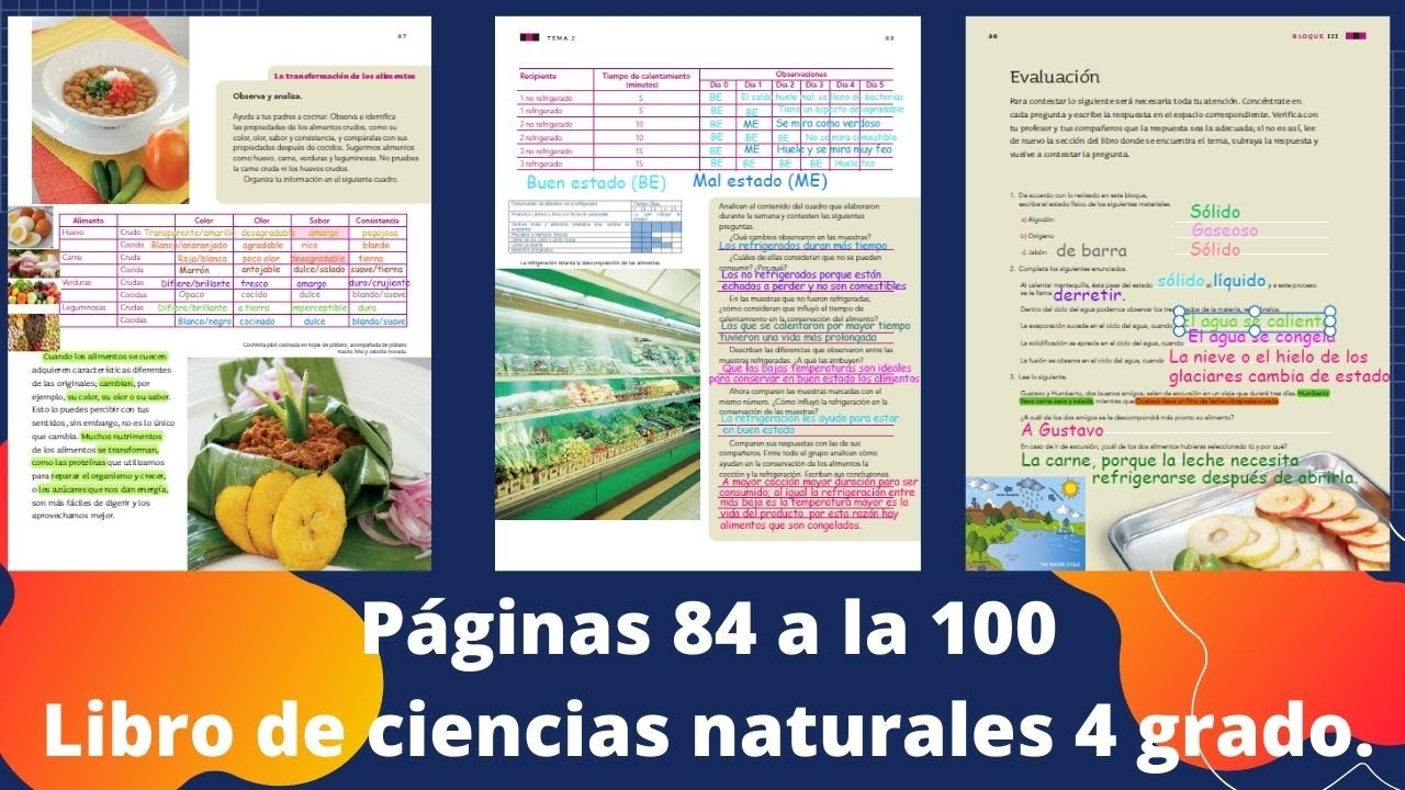 Página 84 a la 100 libro Ciencias naturales 4 grado.