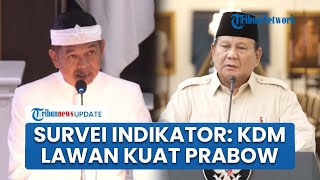 Hasil Survei Indikator: Dedi Mulyadi Jadi Capres Paling Potensial, Bisa Jadi Lawan Kuat Prabowo
