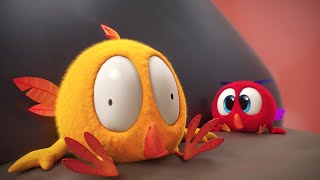 On the road with Chicky | Where's Chicky? | Cartoon Collection in English for Kids | New episodes