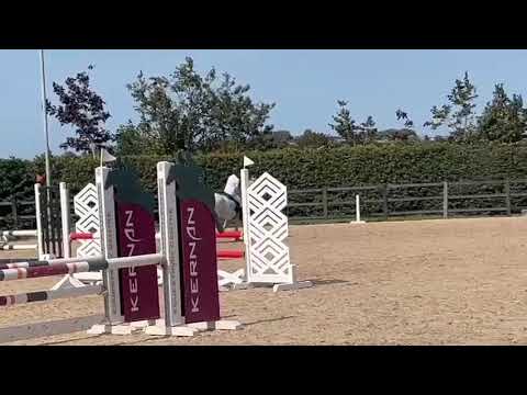 148 jumping pony - Image 2