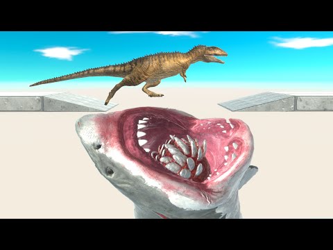 MEGALODON DEADLY ATTACK ► Animal Revolt Battle Simulator