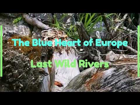 The Blue Heart of Europe